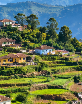 DJ music entertainment at Janyas Homestay Kodaikanal